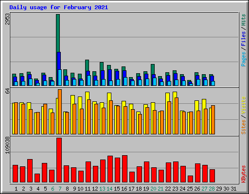 Daily usage for February 2021