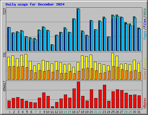 Daily usage for December 2024