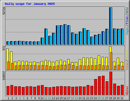 Daily usage for January 2025