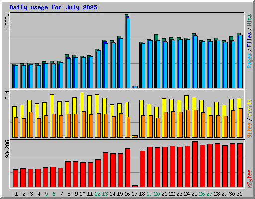 Daily usage for July 2025