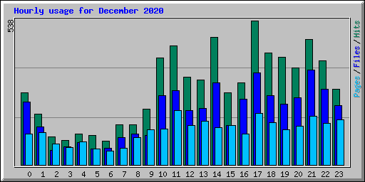 Hourly usage for December 2020