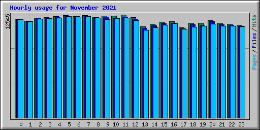 Hourly usage for November 2021