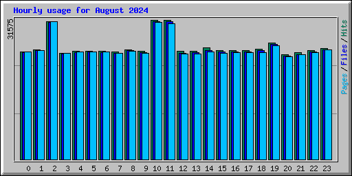 Hourly usage for August 2024