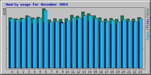 Hourly usage for December 2024