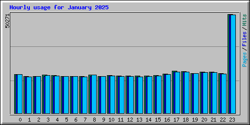 Hourly usage for January 2025