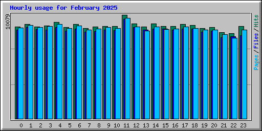 Hourly usage for February 2025
