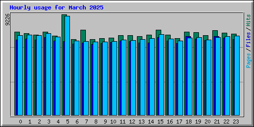 Hourly usage for March 2025