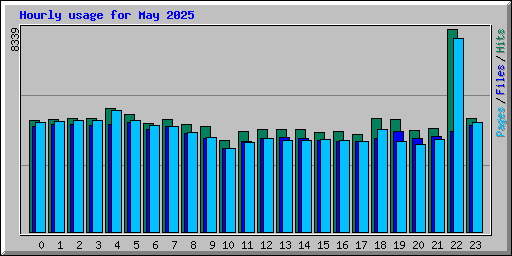 Hourly usage for May 2025