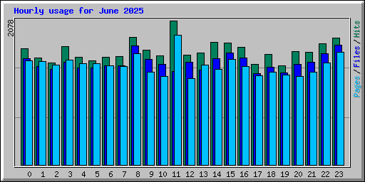 Hourly usage for June 2025