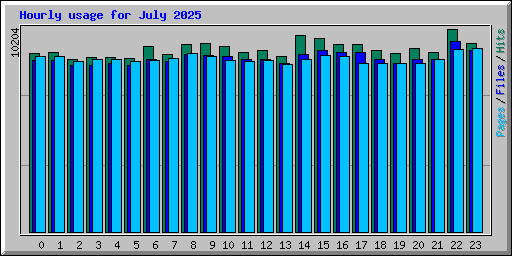 Hourly usage for July 2025