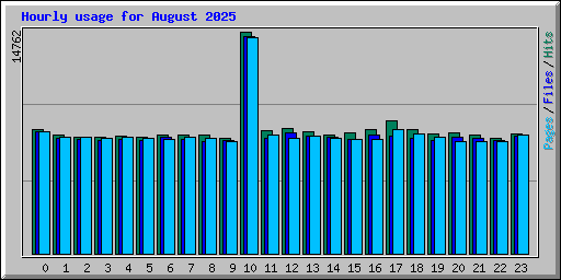 Hourly usage for August 2025