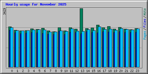 Hourly usage for November 2025