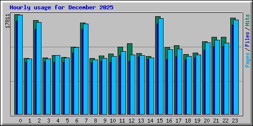 Hourly usage for December 2025
