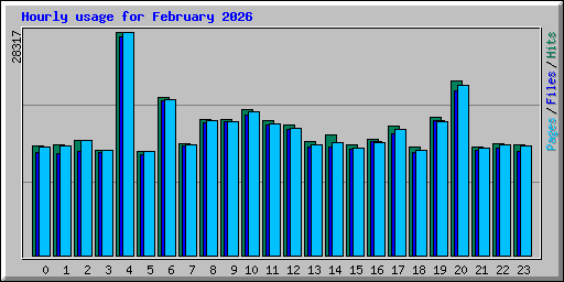 Hourly usage for February 2026
