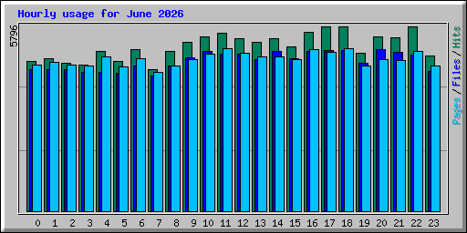 Hourly usage for June 2026